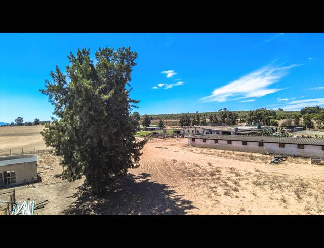 5.90HA FARM FOR SALE IN TIERFONTEIN AH